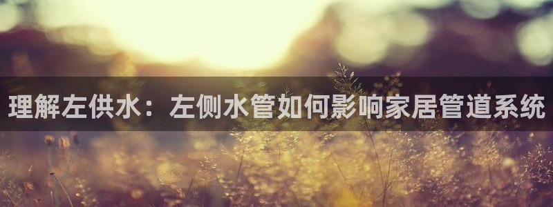 球友会官方网站下载