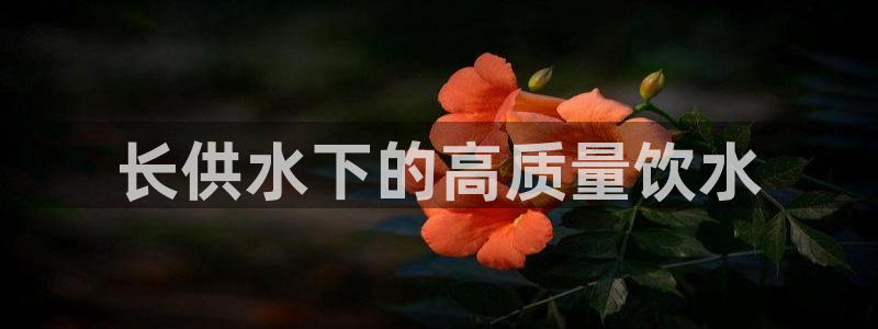 球友会app官方网站下载