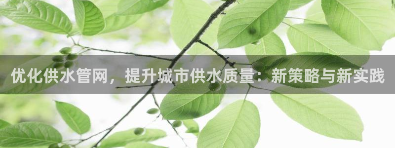 球友会体育app下载安卓
