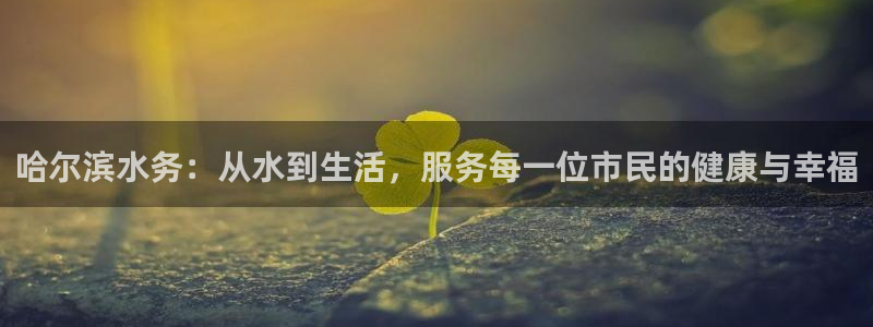 球友会兑换码