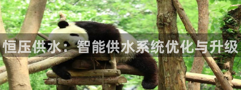 球友会比尔森胜利塔波斯科