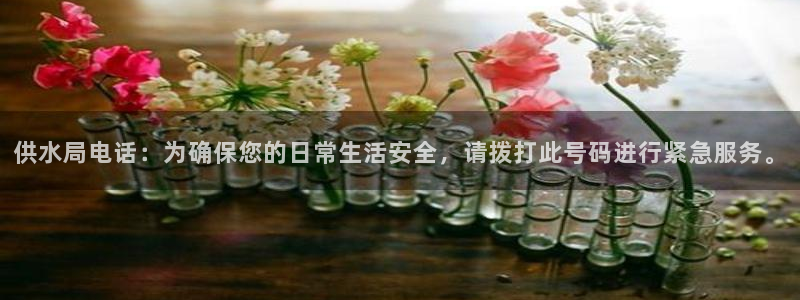 球友会app官方网站入口