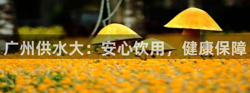 球友会app下载QY