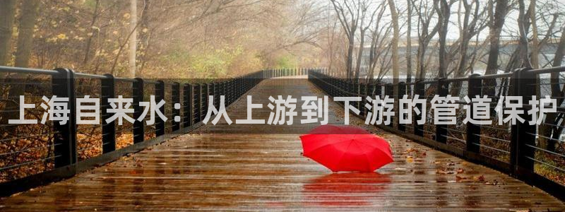 球友会提款审核