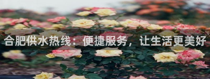 球友会体育app官方版下载安装苹果手机