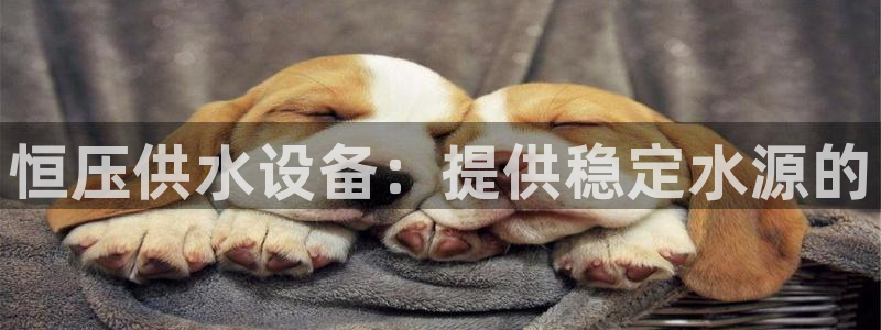 球友会体育app官方版下载安装苹果手机